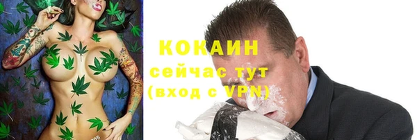гидра Арсеньев