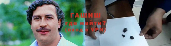 гидра Арсеньев