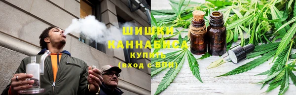 мяу мяу мука Аркадак